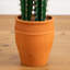 Cactus artificiel en pot terre cuite-1396300893