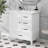Bathroom Vanity with Sink-858241403