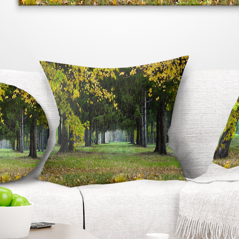 Coussin Schafer, 18 po x 18 po, Coussin décoratif