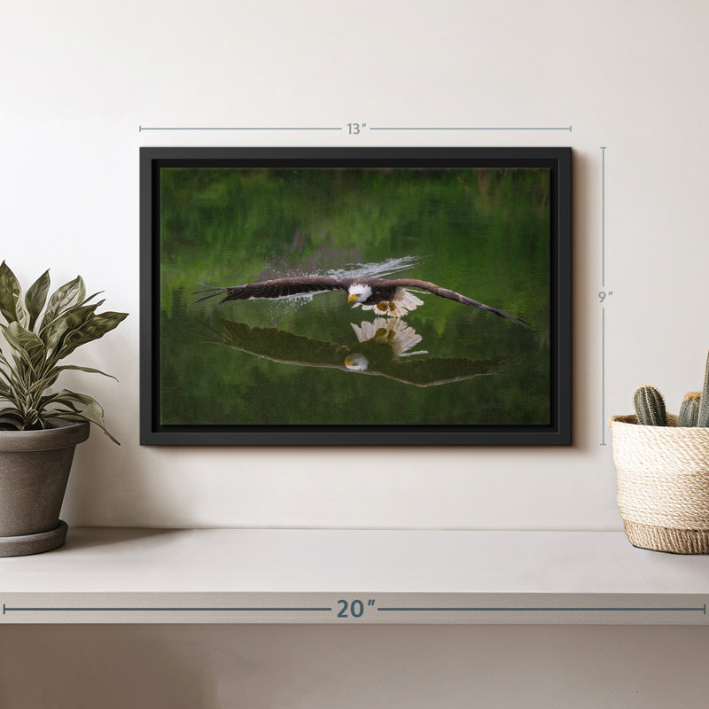 «Bald Eagle Reflection Wall Art», H 9 po x l 13 po
