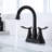 Centerset 2-handle Bathroom Faucet with Drain Assembly-80380451