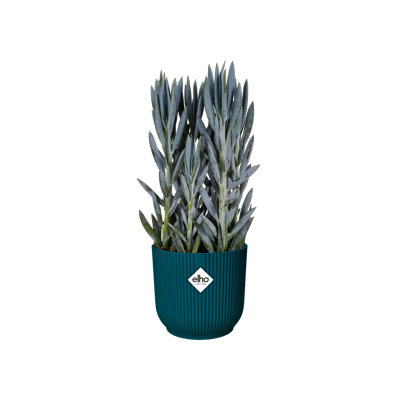 Plastic Indoor Pot Planter