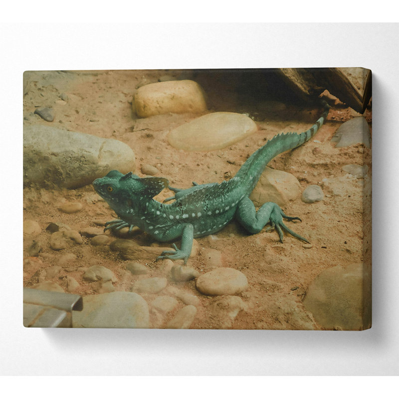 No Frame Print on Canvas, 66cm H x 106.6cm W