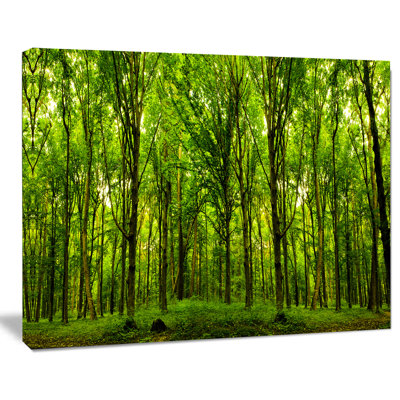 " Forest Landscape " by Designart 2 - Pieces