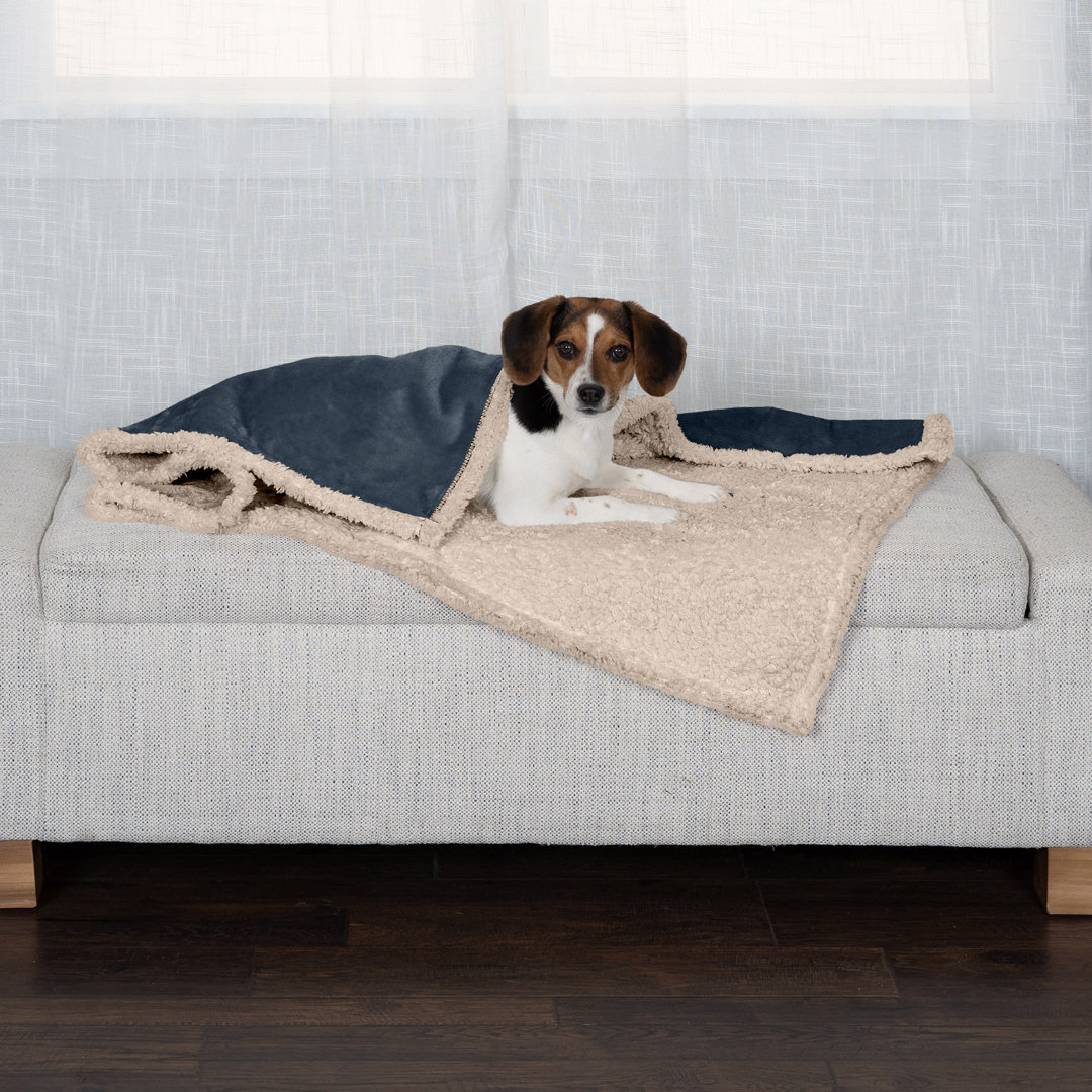 Snuggly & Warm Soft-Edge Warming Waterproof Blanket FurHaven 