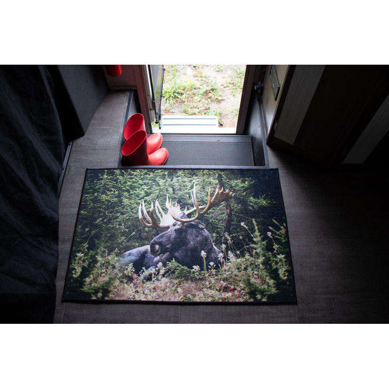Tapis Moose, Rectangle 2 pi x 3 pi