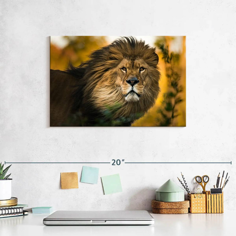 Brampt Lion Head Splendor, 8" H x 12" W
