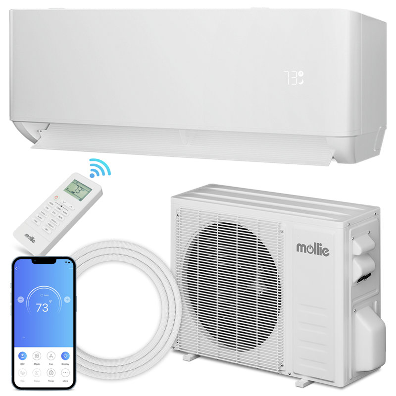 9000 BTU White Wi-Fi Connected Ductless Mini Split Air Conditioner with Heater and Remote
