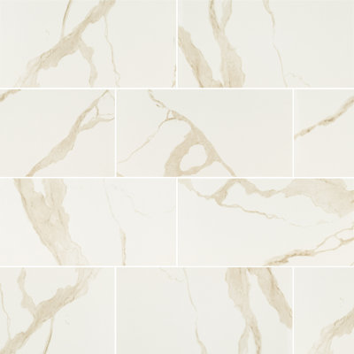 Ardena 24 in. x 48 in. Polished Porcelain Stone Look Floor and Wall Tile