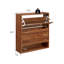 Armoire de rangement pour 20 paires de chaussures-1654085032