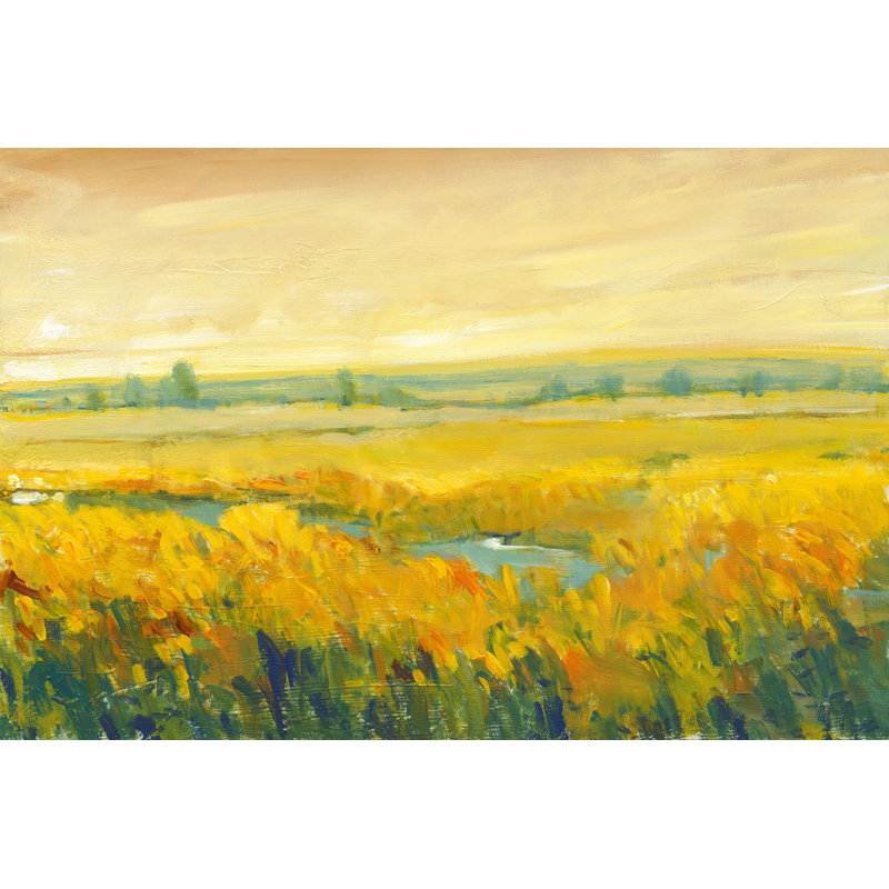 Hot Summer Day II by Tim OToole - Wrapped Canvas Print, 30cm H x 46cm W