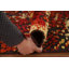 Tapis all-over 6 x 8