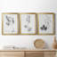 «Botanical Imprint I», ensemble de 3 peintures sur toile encadrées-1130263006-1130263007