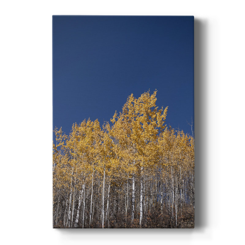 Ambre dans la forêt - galerie Cavas sur mesure, H 18 po x l 12 po