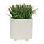 Jardinières texturées S / 2 6/8 po, blanc brillant-1958586841