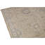 Floral Area Rug in Ivory
