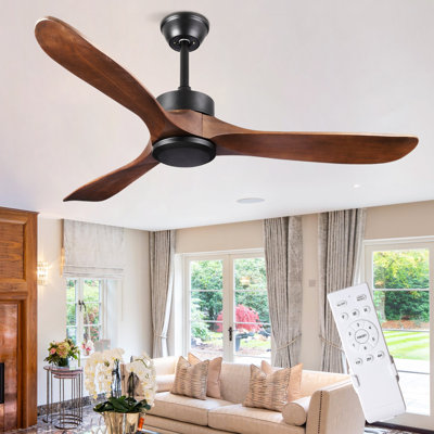 Ceiling  Fan