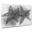 Two Starfish in Abstract - Wrapped Canvas-55303669