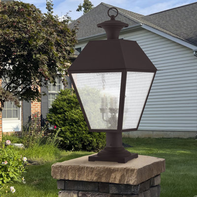 Arnetria Lantern Head