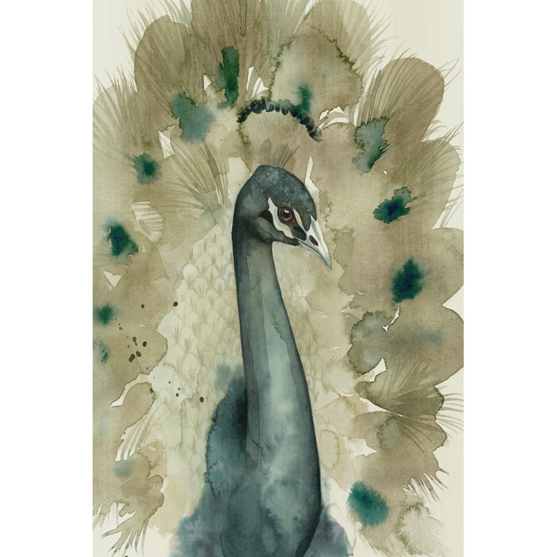 Sepia Peacock I by Grace Popp - Wrapped Canvas Print, 46 cm H x 30 cm W