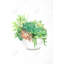 «Succulent Assortment in a Pot», art sur toile botanique vert