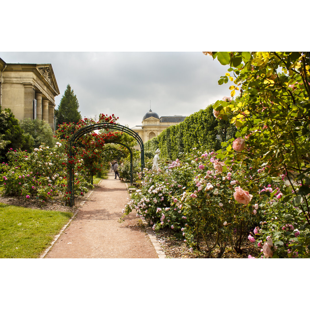 Leinwandbild Garden of Roses, Paris