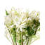 Fabric Arrangement