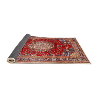 Halee Oriental Indoor Rug