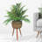 Antonella 30 " H Faux Palm Plant in Wicker/Rattan Basket-515912828