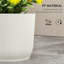 Planter-329839672-329839673
