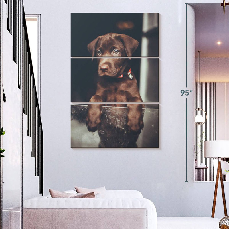 Chiot labrador Brampt chocolat, H 74 po x l 48 po