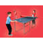 Butterfly Starter 6 x 3 Table Tennis Table-131371177-131371180