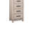 Chanler Swivel Chest