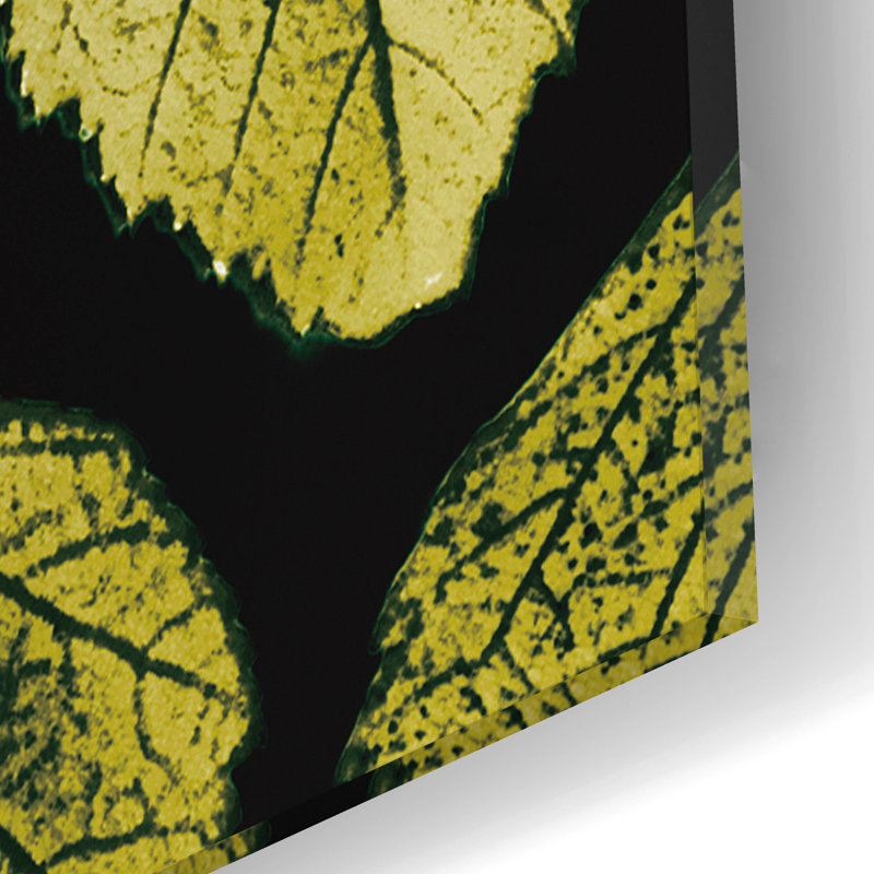 «Green Leaves» par PhotoINC Studio, H 12 po x l 12 po x P 0,13 po