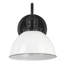 Luminaire de grange à intensité variable à 1 lumière Sumler-1896056881