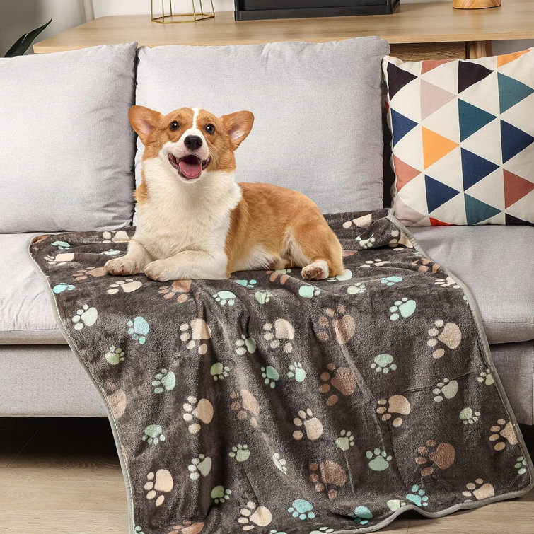 ToccoLeggero Animal Print Pet Blanket | Wayfair