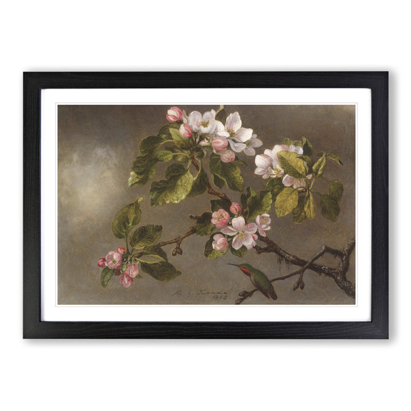 Apple Blossom by Martin Johnson Heade - Picture Frame Graphic Art, 27cm H x 36cm W x 2cm D, Black Framed