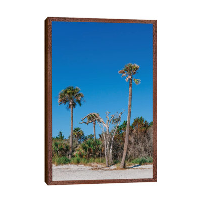 Sullivan's Island XII by Bethany Young - Print on Canvas