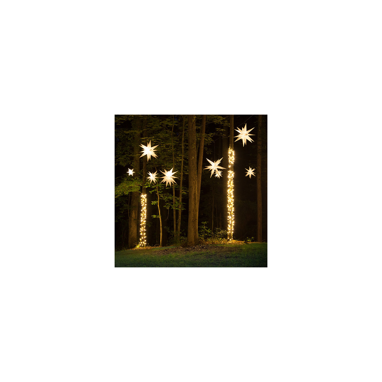 Moravian Star Lighted Display, Clear Frosted 