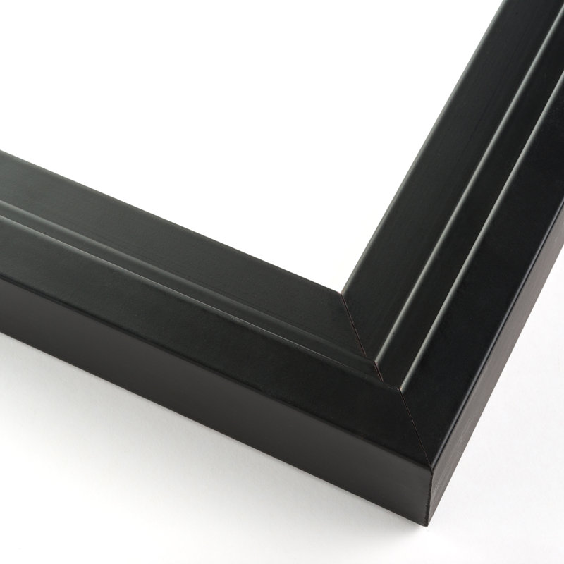 Raudez Solid Wood None Floater Picture Frame, Black, 14" W x 40" H