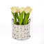 Bouquet de tulipes dans un panier blanc-635571362-635571363