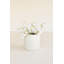  Ensemble de 6 tiges artificielles artificielles en forme de vase artificiel blanc 24 po-423797441