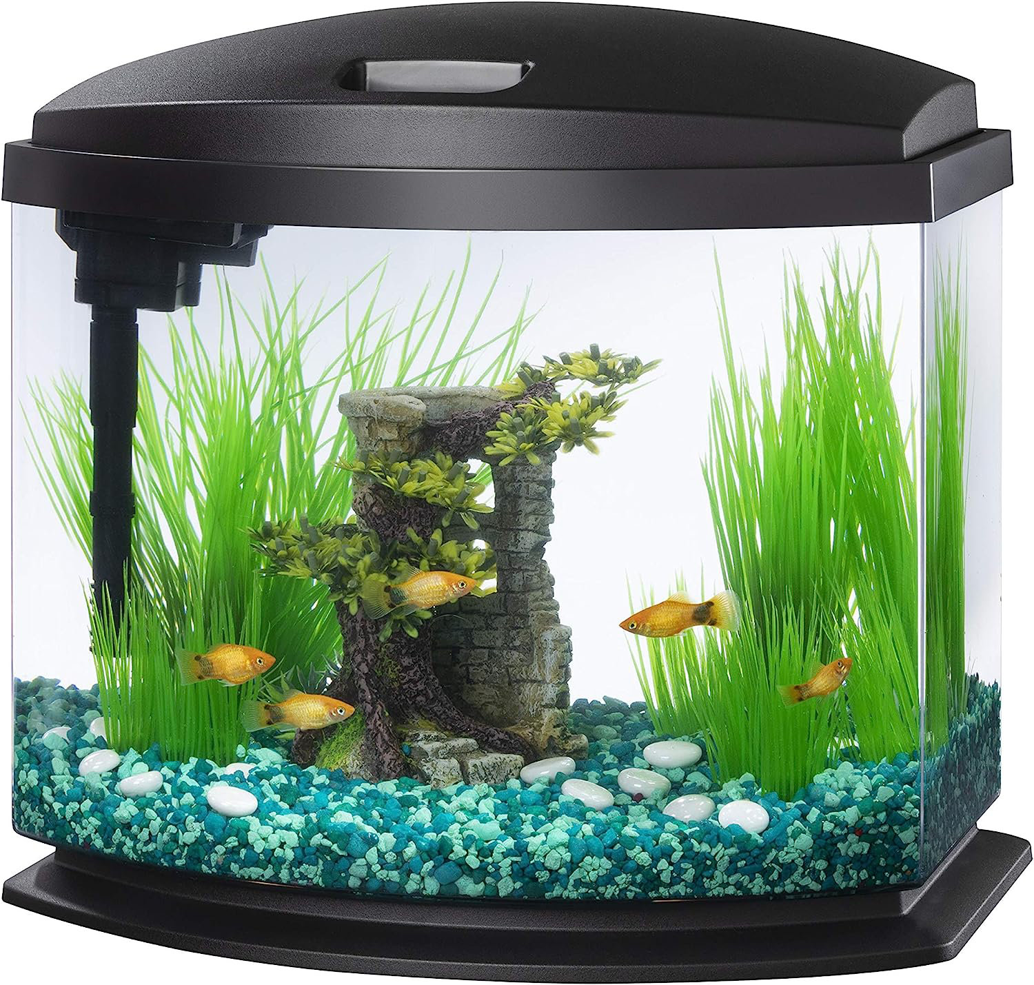 Tucker Murphy Pet™ Elideth 5 Gallon Bowfront Aquarium Tank | Wayfair