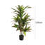 Plant-880630705