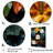 " Exotic Botanical Plants "-1429313198-1429313201