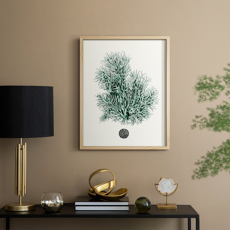 Antique Coastal Coral V Framed Print - Solid Wood, Natural, H 21 po x l 17 po