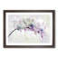 Colourful Orchids in Abstract - Framed Print-55686067-55686069