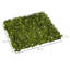 5cm Faux Hedge in Freestanding