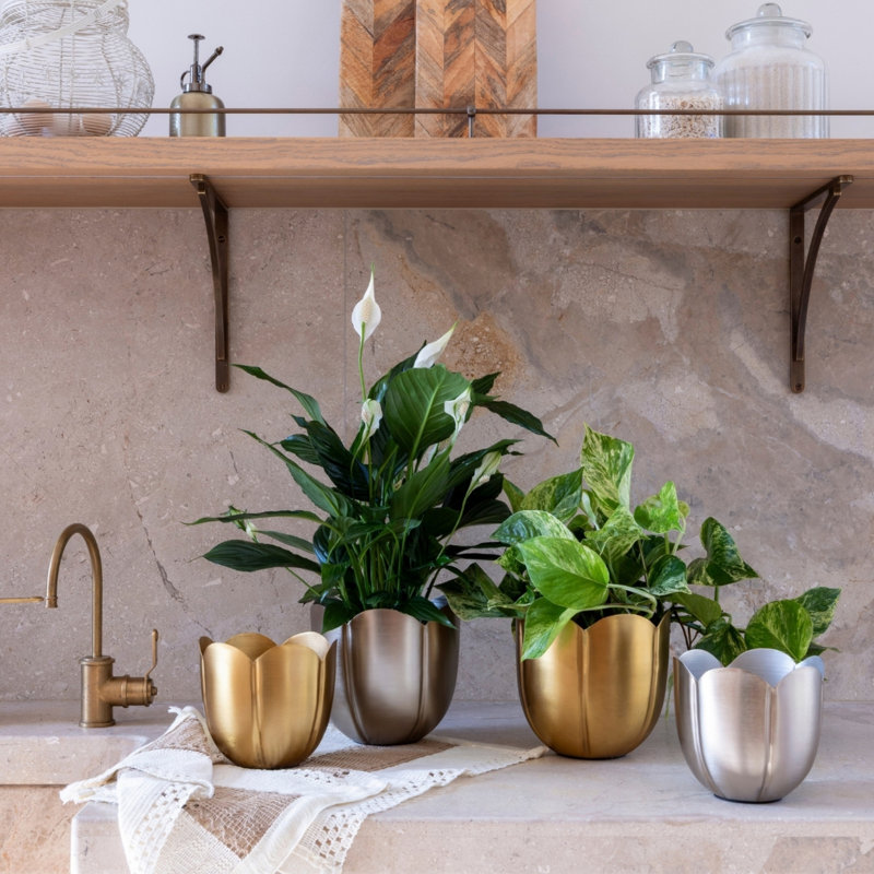 Metal Pot Planter, Gold
