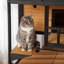 137Cm Wood Cat House